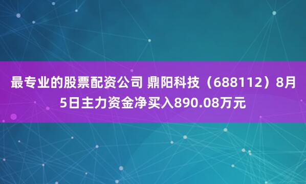最专业的股票配资公司 鼎阳科技（688112）8月5日主力资金净买入890.08万元